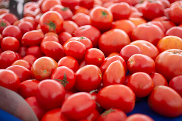 A view of a table full of roma tomatoes, on display at a local farmers market.