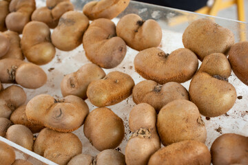 A view of a display of heart shaped kiwi fruit, seen at a local farmers market in Los Angeles, California.