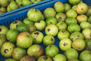 A view of a crate full of green guavas, on display at local farmers market.