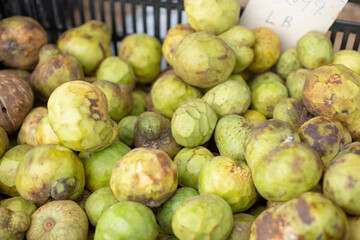 A view of a crate full of small sized cherimoya fruit, on display at a local farmers market.