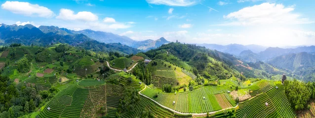 Foto op Canvas Aerial photography of Sanjiang Buyang Xianren alpine ecological tea fields © 昊 周