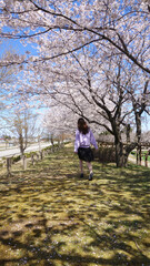 桜並木を歩く女性
