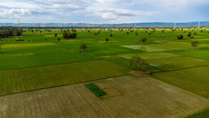 Aerial view of rice fields, Aceh, Indonesia.