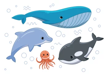 Foto auf Acrylglas Sea animals set. Collection of representatives of marine and underwater world. Whale, shark, dolphin and octopus. Cute ocean mammals. Cartoon flat vector illustrations isolated on white background © Rudzhan