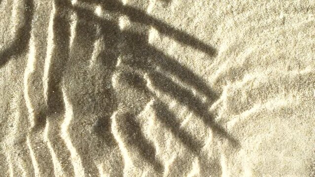 Slow motion water surface ripples and splash with palm tree leaf shadow on sand 