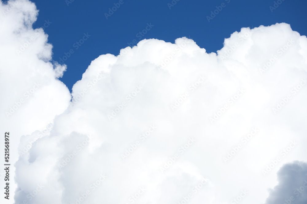 Wall mural blue sky and clouds. cloudy background. cloud backdrop.
