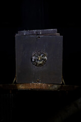 one owl shows her heads from a wooden bird house