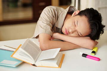 Exhausted teenage boy sleeping after doing homework for tomorrow class