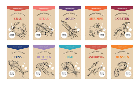 Seafood labels. Vintage food sketch. Marine lobster. Retro shrimp. Badge design of mackerel and squid. Salmon fish steak. Engraving packaging stickers set. Vector illustration background