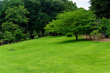香川県丸亀市のやすらぎ公園、綺麗な芝生