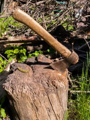old vintage iron ax sticks out in a stump on a farm on a sunny summer day