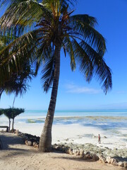 Lifestyle in Zanzibar