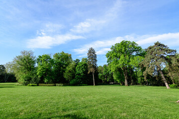 Landscape with old green trees in Mogosoaia Park (Parcul Mogosoaia), a weekend attraction close to Bucharest, Romania, in a sunny spring day.