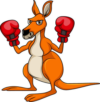 Kangaroo with boxing hand gloves