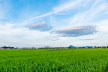 滋賀県草津市　平湖と田園の夕景
