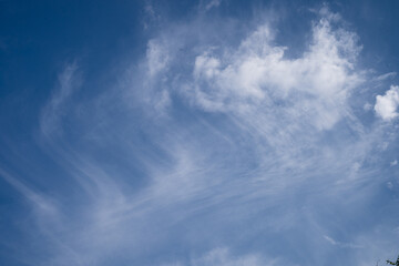 Fototapeta premium 空