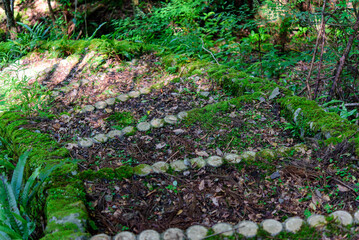 徳島県那賀町あいあいらんど内の森の中の階段、遊歩道