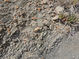 Texture of stones