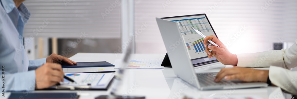 Poster analyst working with spreadsheet business data
