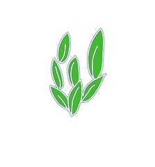 green leaves icon
