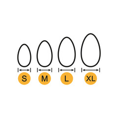 Egg sizes. Set of vector illustrations with arrows and eggs. Drawing on a white background. 