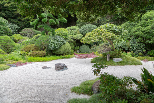 A beautiful, serene, tranquil image of green Japanese garden in Kamakura, Kanagwa, Japan, concept of Zen