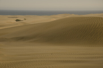View of the Maspalomas Dunes. Special Natural Reserve of the Maspalomas Dunes. San Bartolome de Tirajana. Gran Canaria. Canary Islands. Spain.