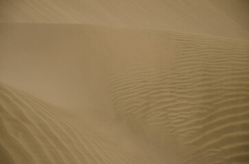 Sand dunes in the Special Natural Reserve of the Maspalomas Dunes. San Bartolome de Tirajana. Gran Canaria. Canary Islands. Spain.
