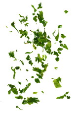 Aromatic Spice celery leaves. Chopped fresh celery leaves isolated on white. Aromatic Spice celery leaves.