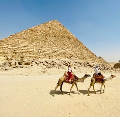 Camels at Pyramids