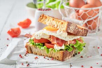 Fresh and healthy toasted sandwich made of fresh indiegrends.