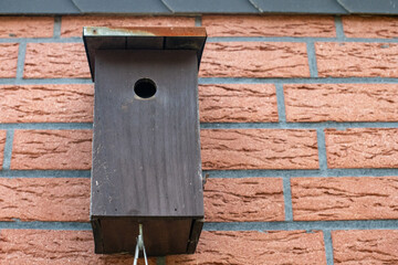Vogelhaus an Steinwand 
