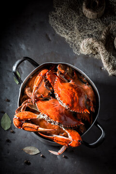 Preparation for fresh red crabs in old rustic metal pot.
