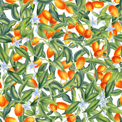 Kumquat branches watercolor seamless pattern. Citrus orange fruits and leaves endless background. Tropical tree hand drawn ornament. For textiles and packaging paper.	
