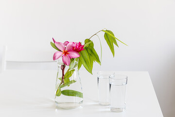 Two glasses of water and a bouquet of eucalyptus and red flowers in a transparent vase on the table.