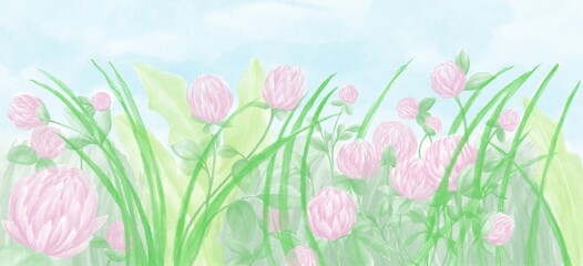 Watercolor panoramic illustration, pink clover flowers in fresh meadow grass