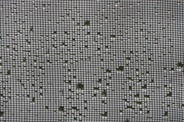 Raindrops on a mosquito net. Graphic Texture