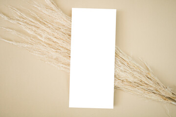 Mockup menu card with dry grass on beige background
