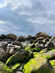 Fototapeta na wymiar piedras verdes playa