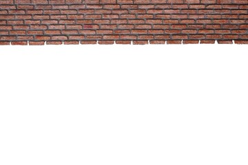 Red brick bricks. white background blur or blurry