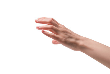 Woman hand isolated on a white background.