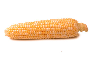 Yellow corn isolated on white background. Copyspace.