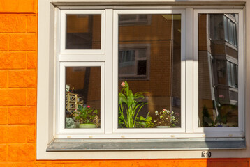 Flowers are visible in the window of the house