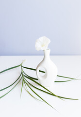 white vase and white flower on abstract  light blue background