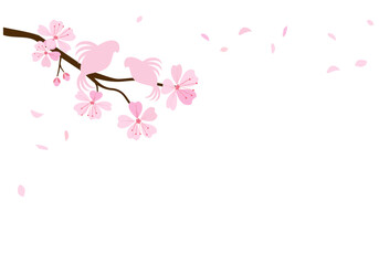 Cherry blossom Sakura flower and bird cartoons on white background vector illustration.