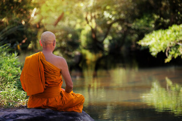 Buddhist monks meditate in nature