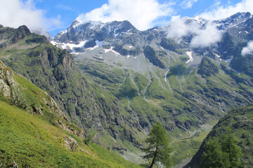 Fototapeta na wymiar Valgaudemar valley in ecrins national park, french alps
