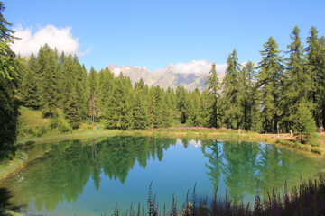 The wonderful Hermes Lake in summer with larch tree forest, hautes alpes, french alps