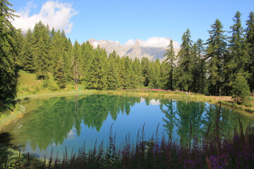 The wonderful Hermes Lake in summer with larch tree forest, hautes alpes, french alps