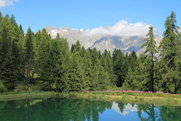Fototapeta na wymiar The wonderful Hermes Lake in summer with larch tree forest, hautes alpes, french alps